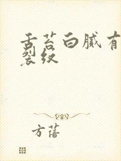 舌苔白腻有齿痕裂纹