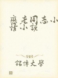 恋老同志小说言情小说