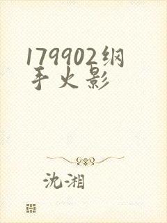 179902纲手火影