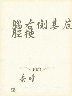 脑右侧基底节区腔梗