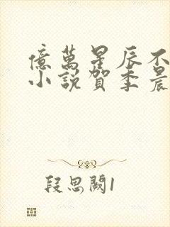 亿万星辰不及你小说贺季晨