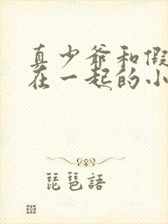 真少爷和假少爷在一起的小说