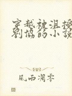 穿越被沮授当成刘协的小说