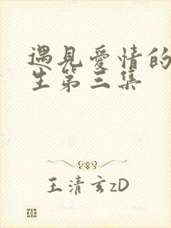 遇见爱情的利先生第三集