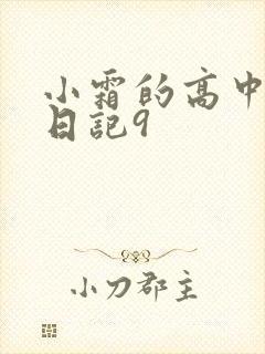 小霜的高中成长日记9封面