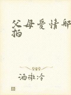 父母爱情哪一年拍