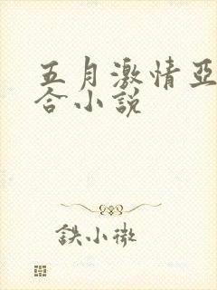 五月激情亚洲综合小说封面