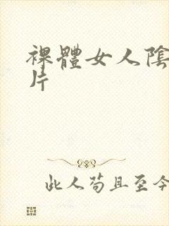 裸体女人阴道照片