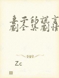 妻子的谎言电视剧全集剧情免费