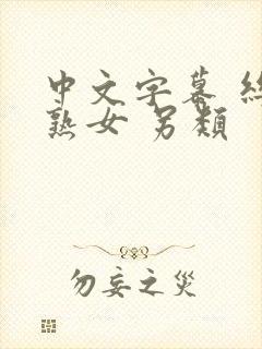 中文字幕 丝袜熟女 另类