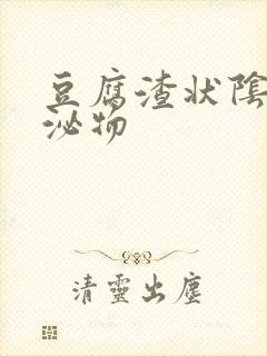 豆腐渣状阴道分泌物