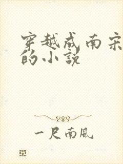 穿越成南宋末帝的小说封面
