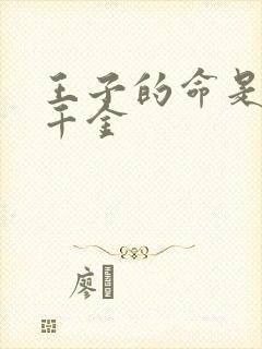 王子的命是恶役千金