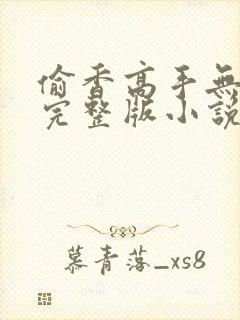 偷香高手无删减完整版小说