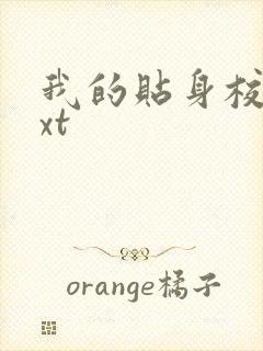 我的贴身校花txt封面