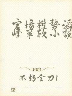 官场权势滔天林峰宁欣小说在线阅读