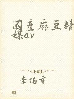 国产麻豆精品传媒av