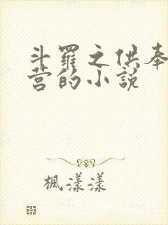 斗罗之供奉殿阵营的小说封面