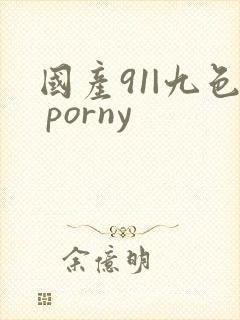 国产91|九色 porny