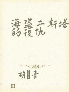 海盗二斯塔尼蒂的复仇