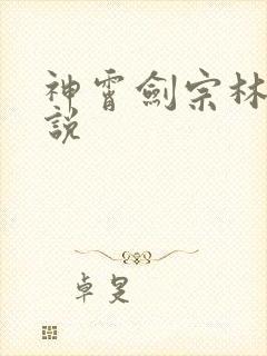 神霄剑宗林枫小说