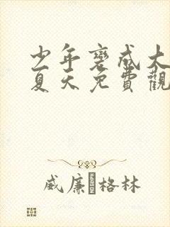 少年变成大人的夏天免费观看动漫