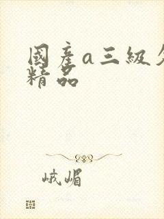 国产a三级久久精品