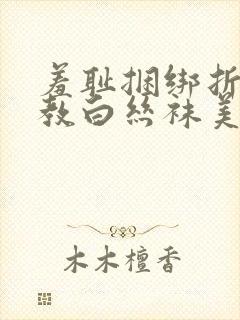 羞耻捆绑折磨调教白丝袜美女的小说