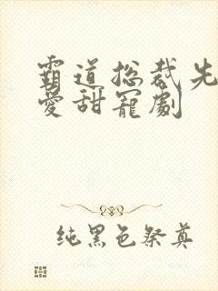 霸道总裁先婚后爱甜宠剧