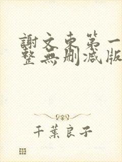 谢文东第一季完整无删减版封面