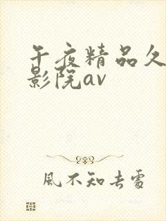 午夜精品久久久影院av封面