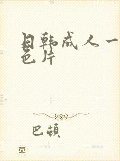 日韩成人一级黄色片