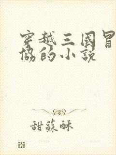 穿越三国冒充刘协的小说