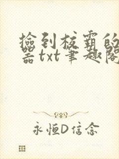 捡到校霸的遥控器txt笔趣阁