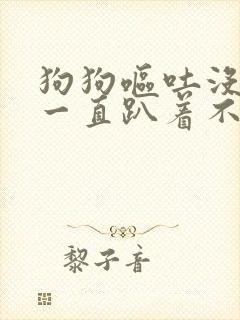 狗狗呕吐没精神一直趴着不吃不喝封面