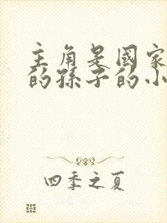 主角是国家首长的孙子的小说