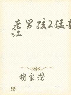 老男孩2猛龙过江