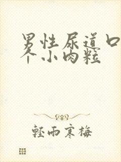 男性尿道口长一个小肉粒