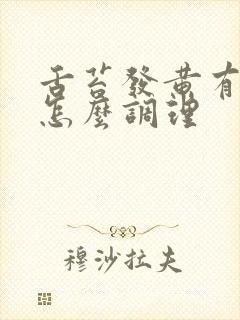 舌苔发黄有齿痕怎么调理