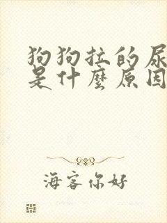 狗狗拉的尿红色是什么原因