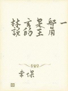 林玄是哪一本小说的主角封面