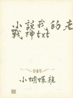 小说我的老婆是战神txt