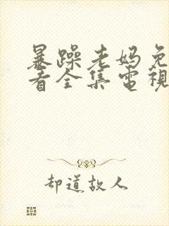 暴躁老妈免费观看全集电视剧下载