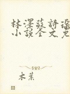 林泽苏诗瑶袁杰小说全文免费阅读最封面