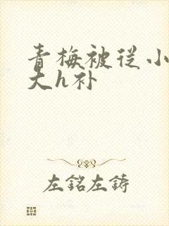 青梅被从小摸到大h补