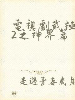 电视剧武极天尊2之神界篇封面