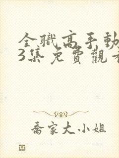 全职高手动漫13集免费观看