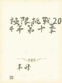 极限挑战2024年第十季