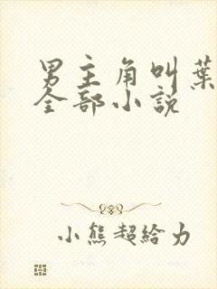 男主角叫叶辰的全部小说封面