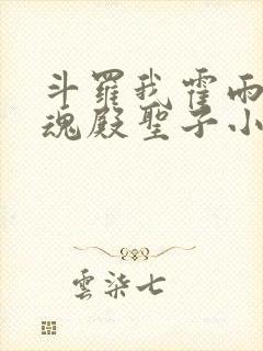 斗罗我霍雨浩武魂殿圣子小说免费阅读